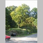 IMG_5669 [800x600].jpg